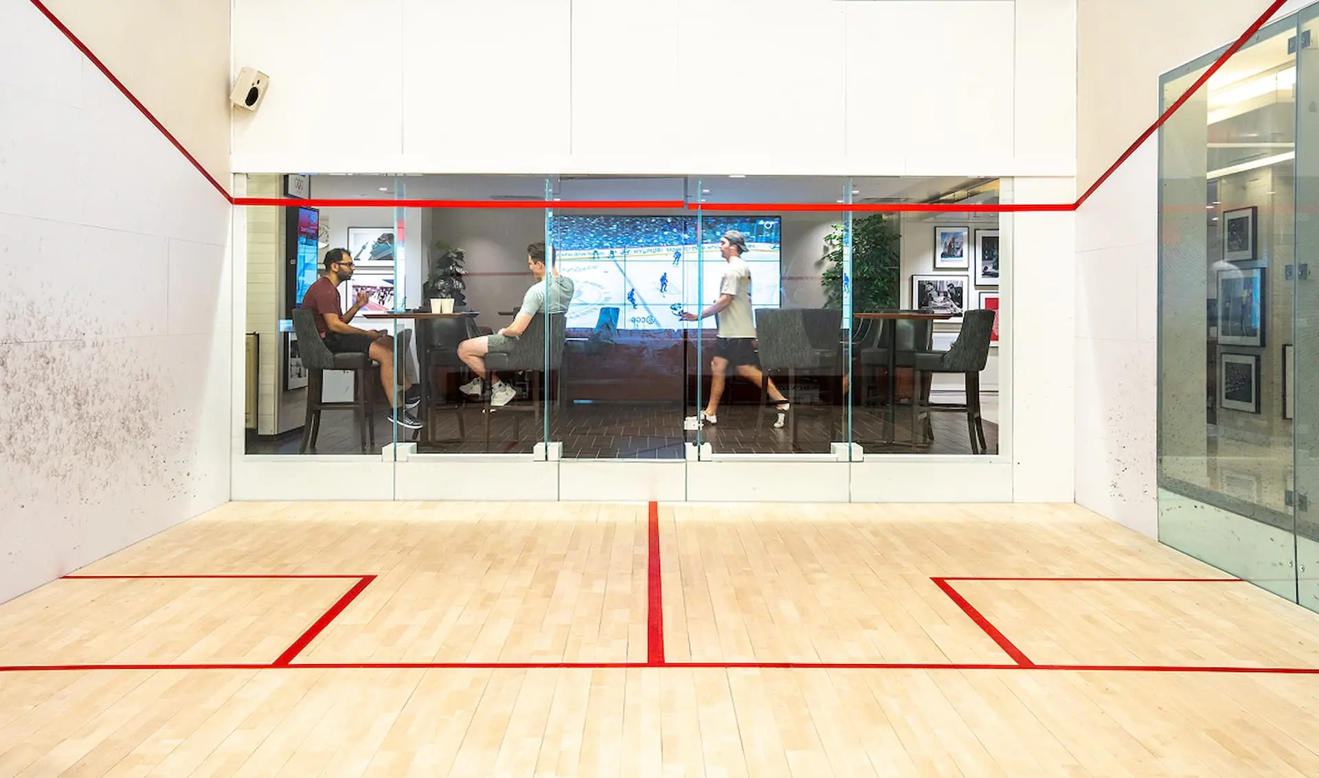 Adelaide Club official squash-court photography from adelaideclub.com