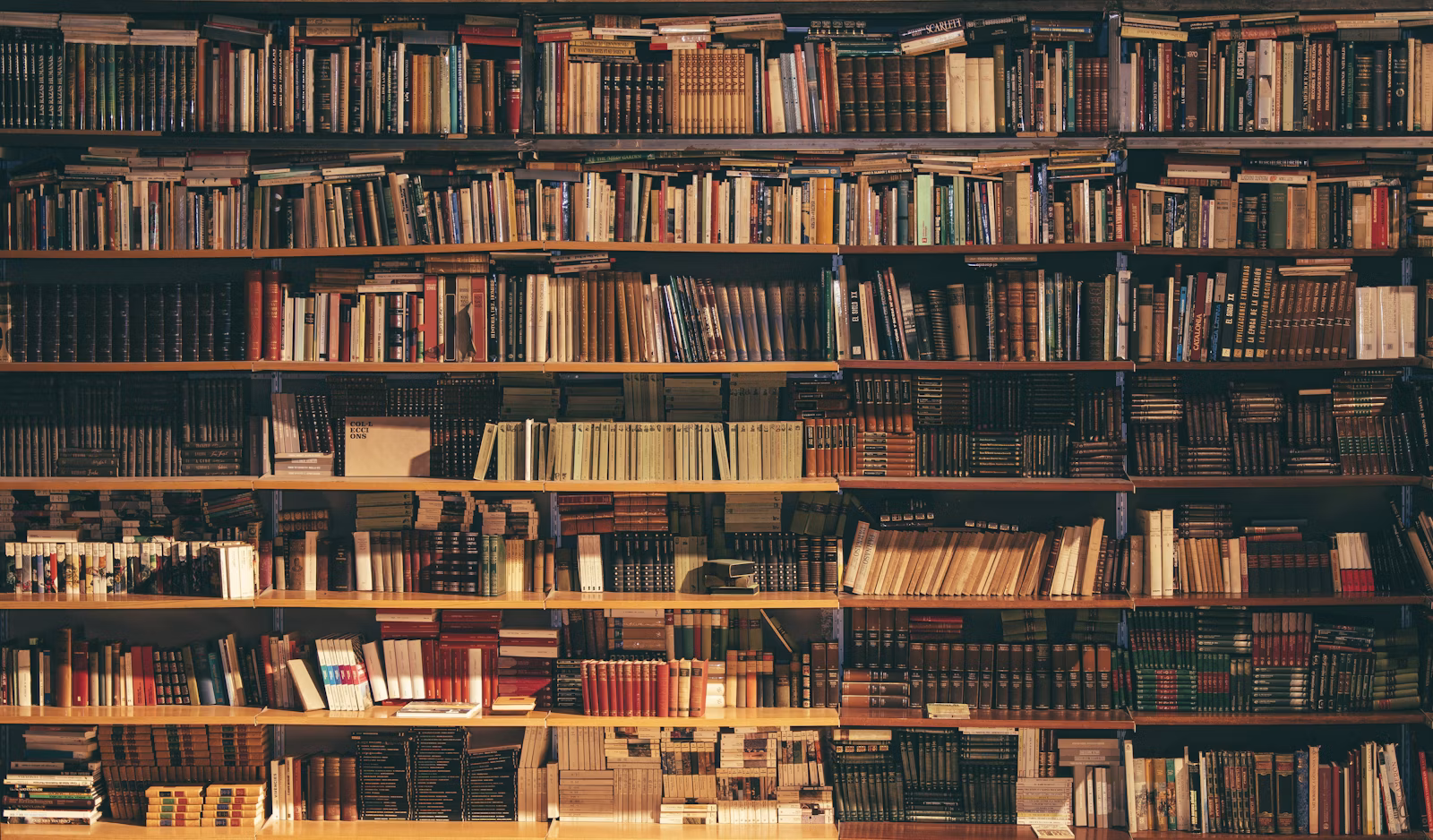 Book City (The Beach) in Toronto