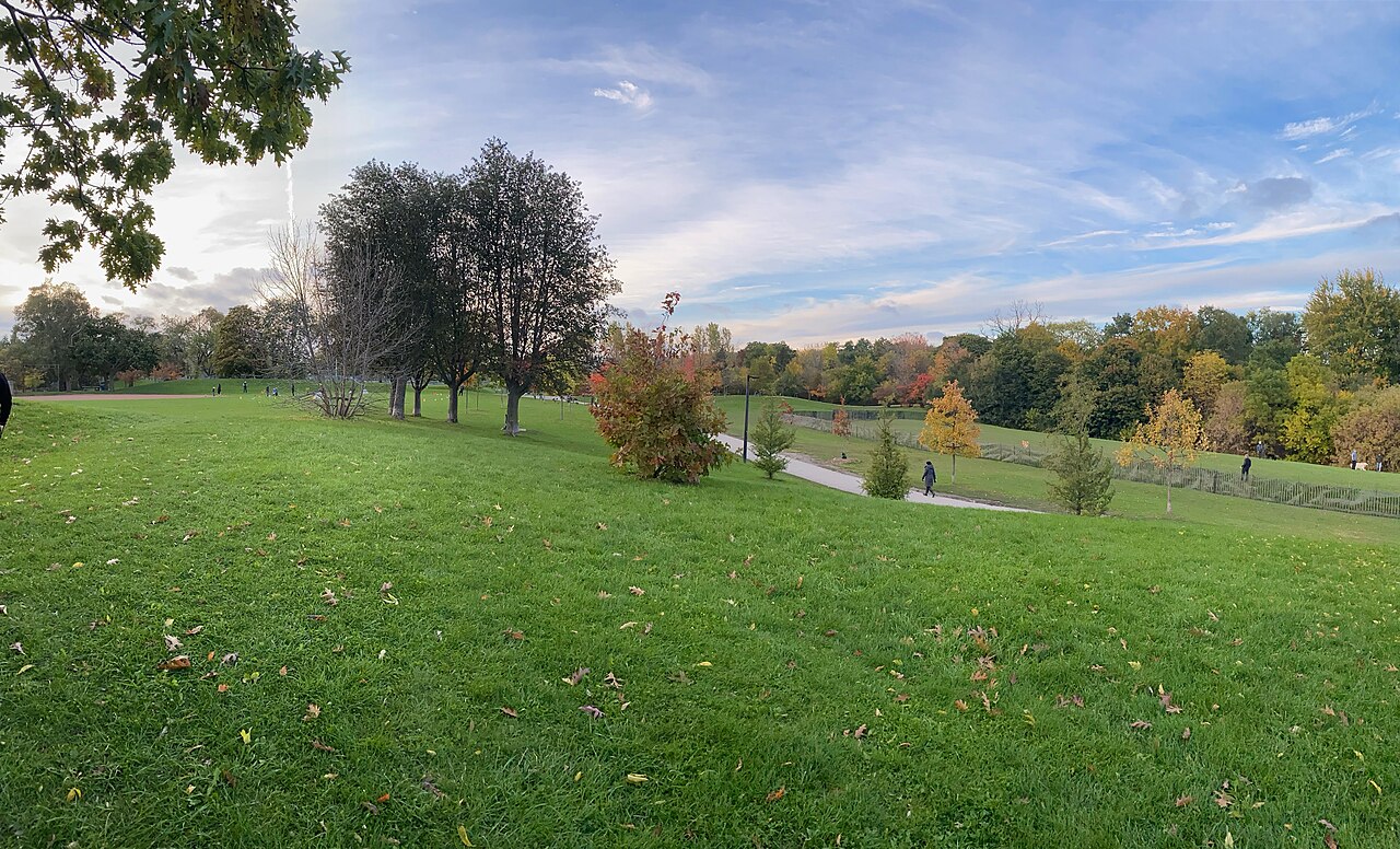 Cedarvale Ravine trails beside the off-leash area