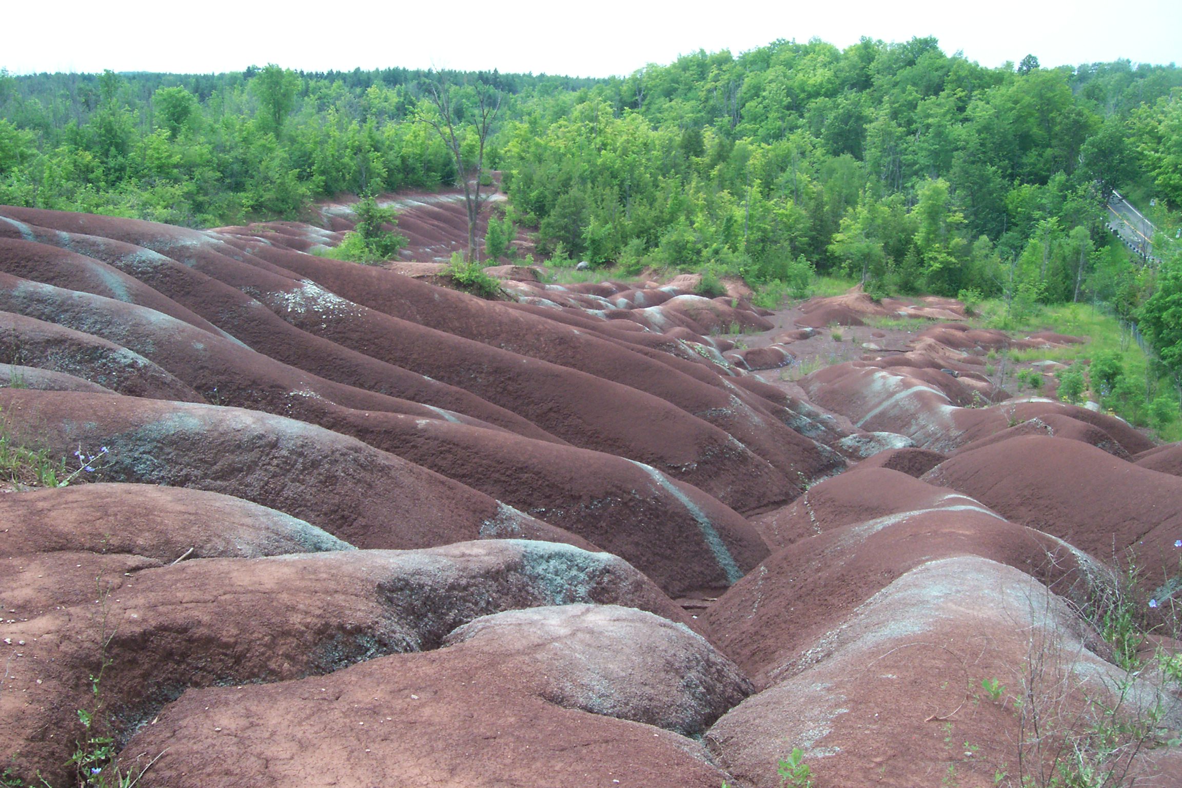 Red Queenston shale ridges at the Cheltenham Badlands, Caledon