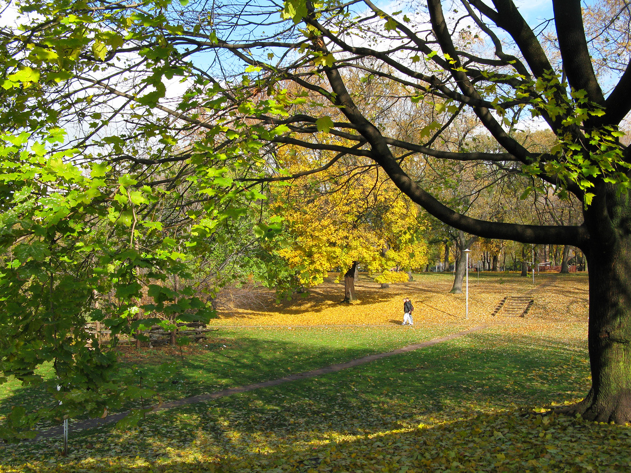 Dufferin Grove Park in west-end Toronto