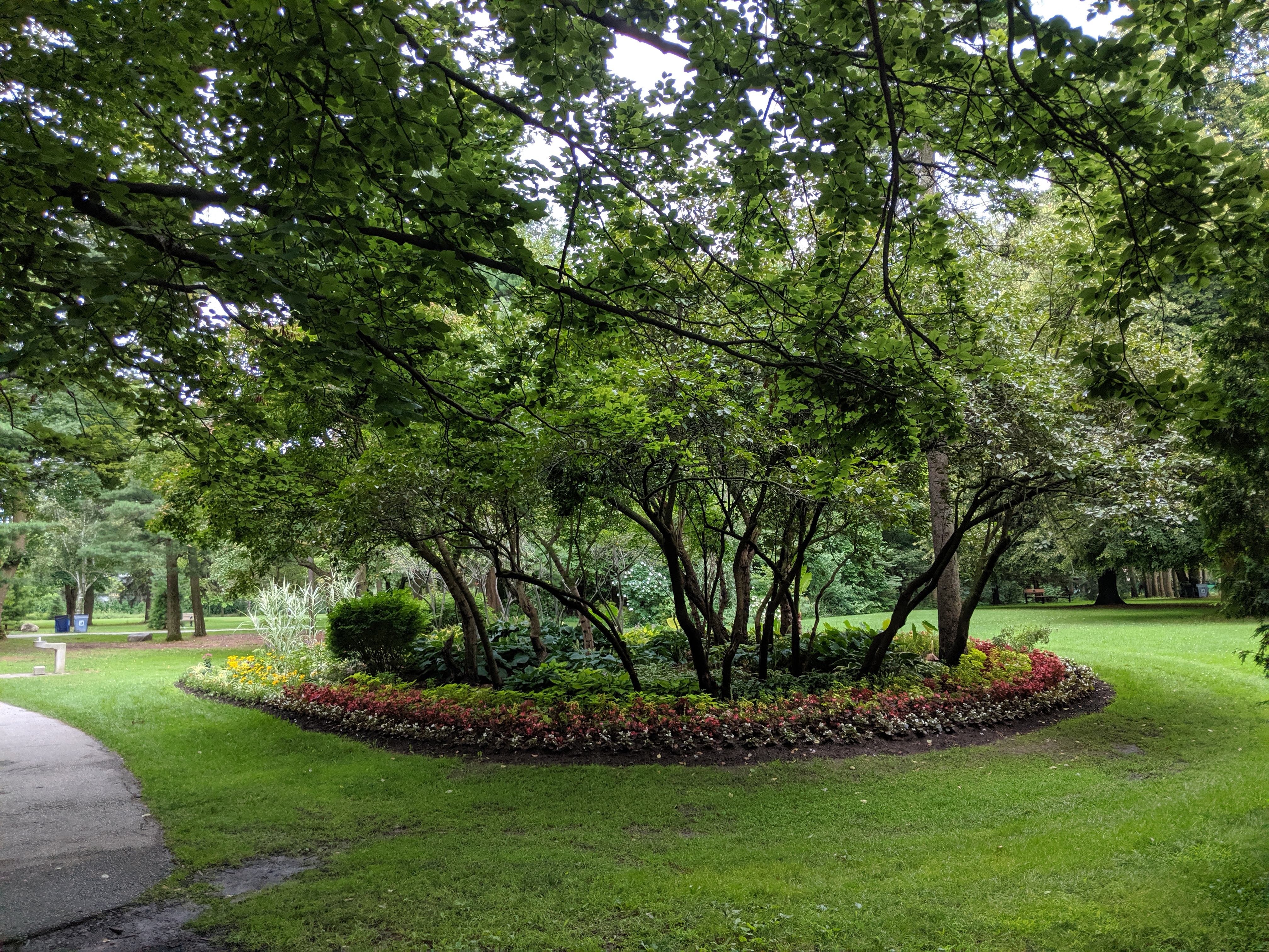 Plantings and paths at Edwards Gardens, Toronto