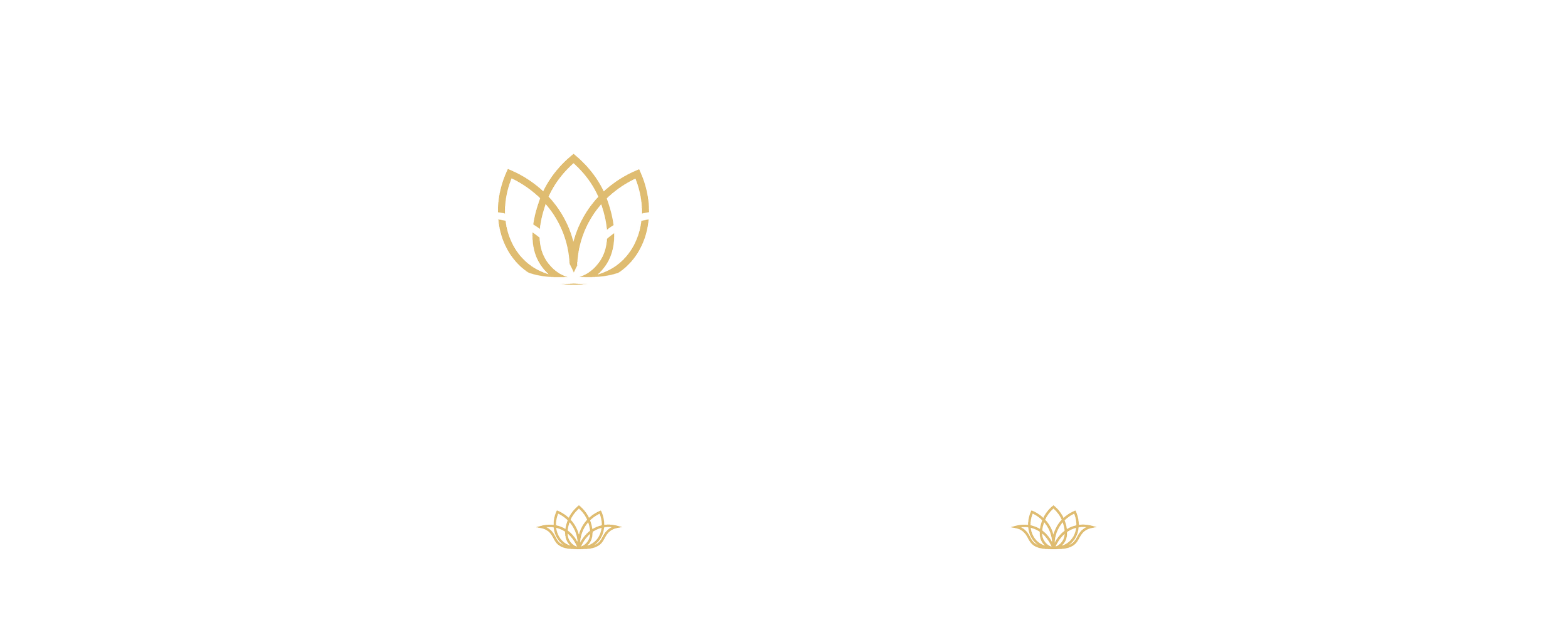 Pii Nong Thai in Queen West
