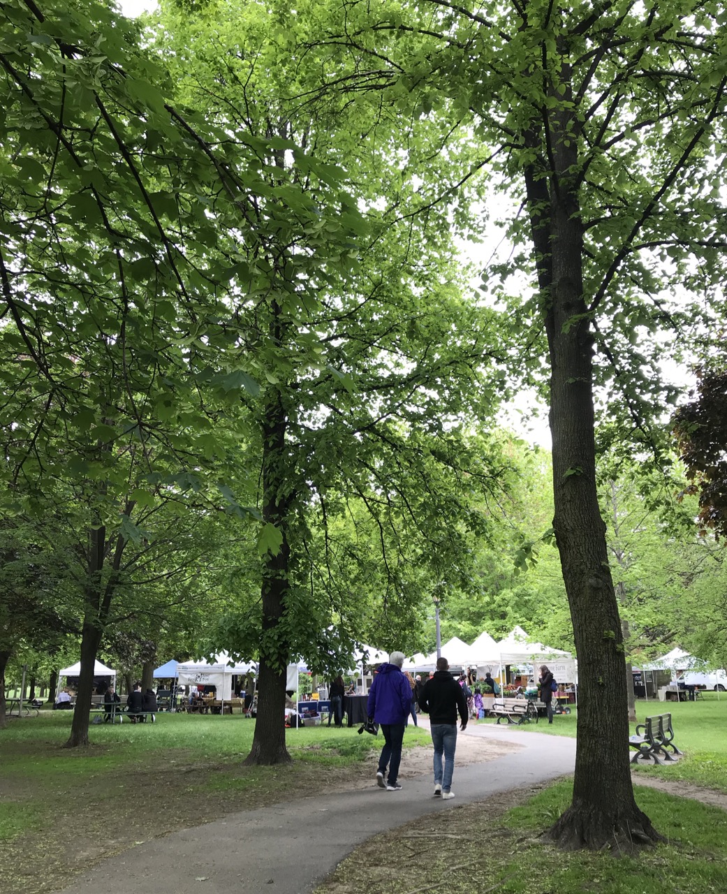 Trinity Bellwoods Farmers’ Market official park photograph from tbfm.ca