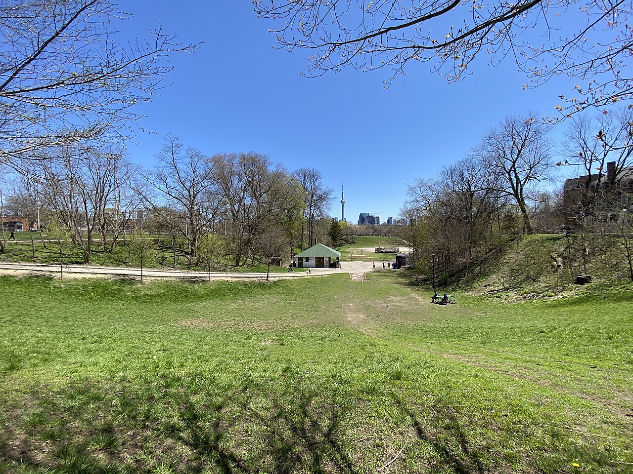 Trinity Bellwoods Park lawn and trees in west-end Toronto