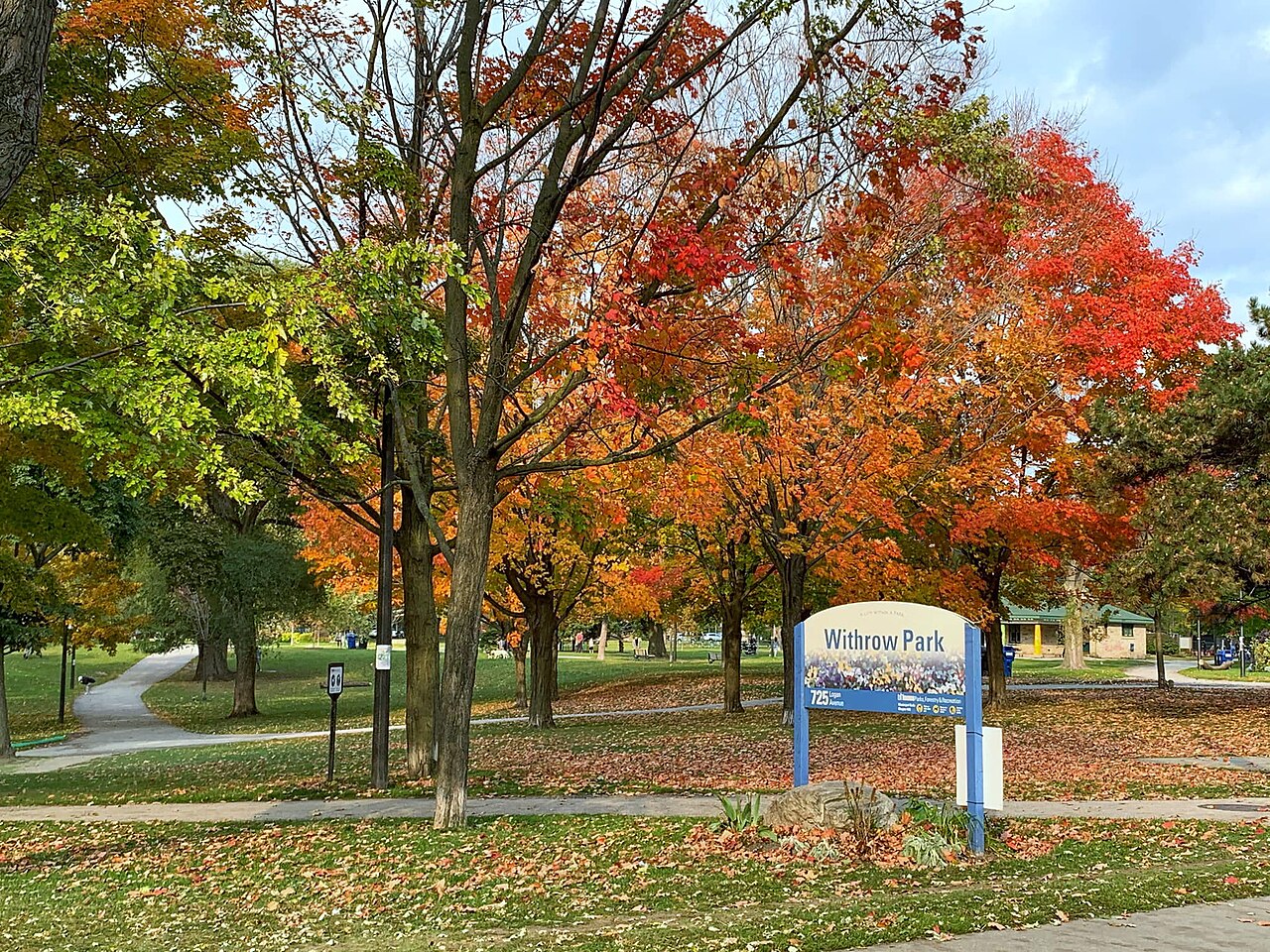 Withrow Park in Toronto’s Riverdale neighbourhood
