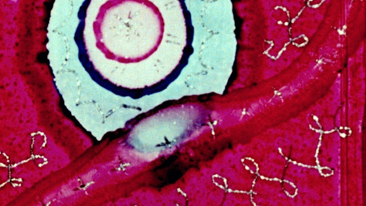 Norman McLaren experimental animation still for Begone Dull Care program