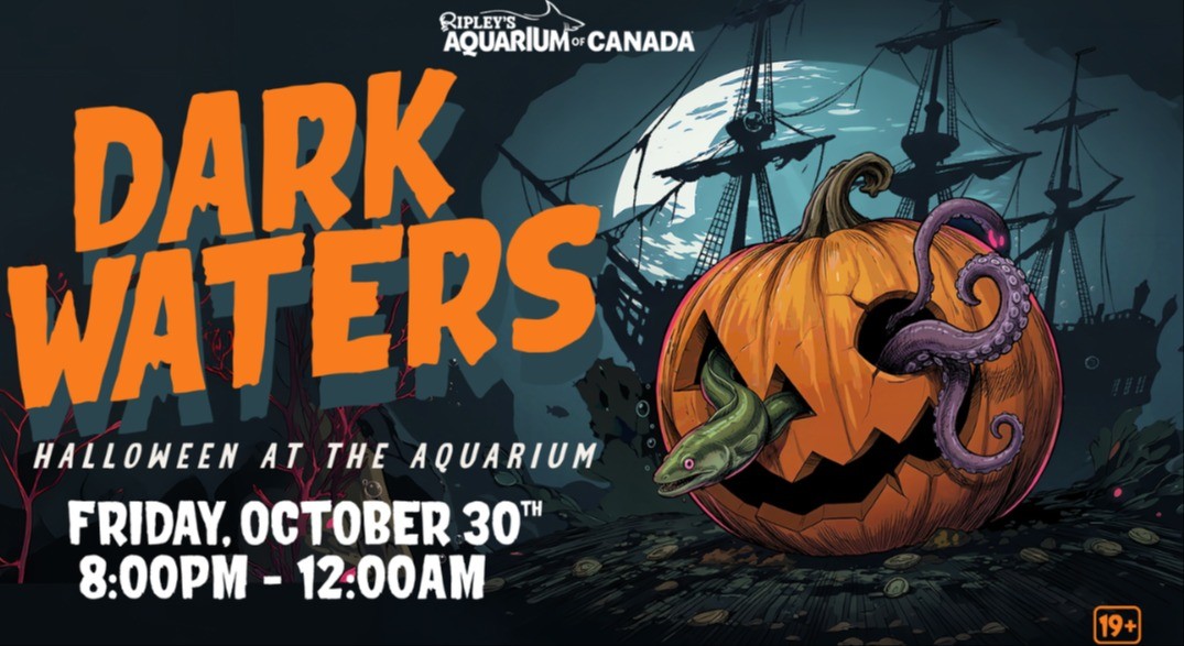 Dark Waters Halloween night at Ripley's Aquarium of Canada