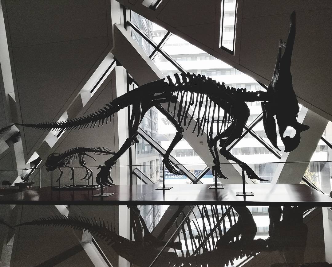Haunted ROM Tour event