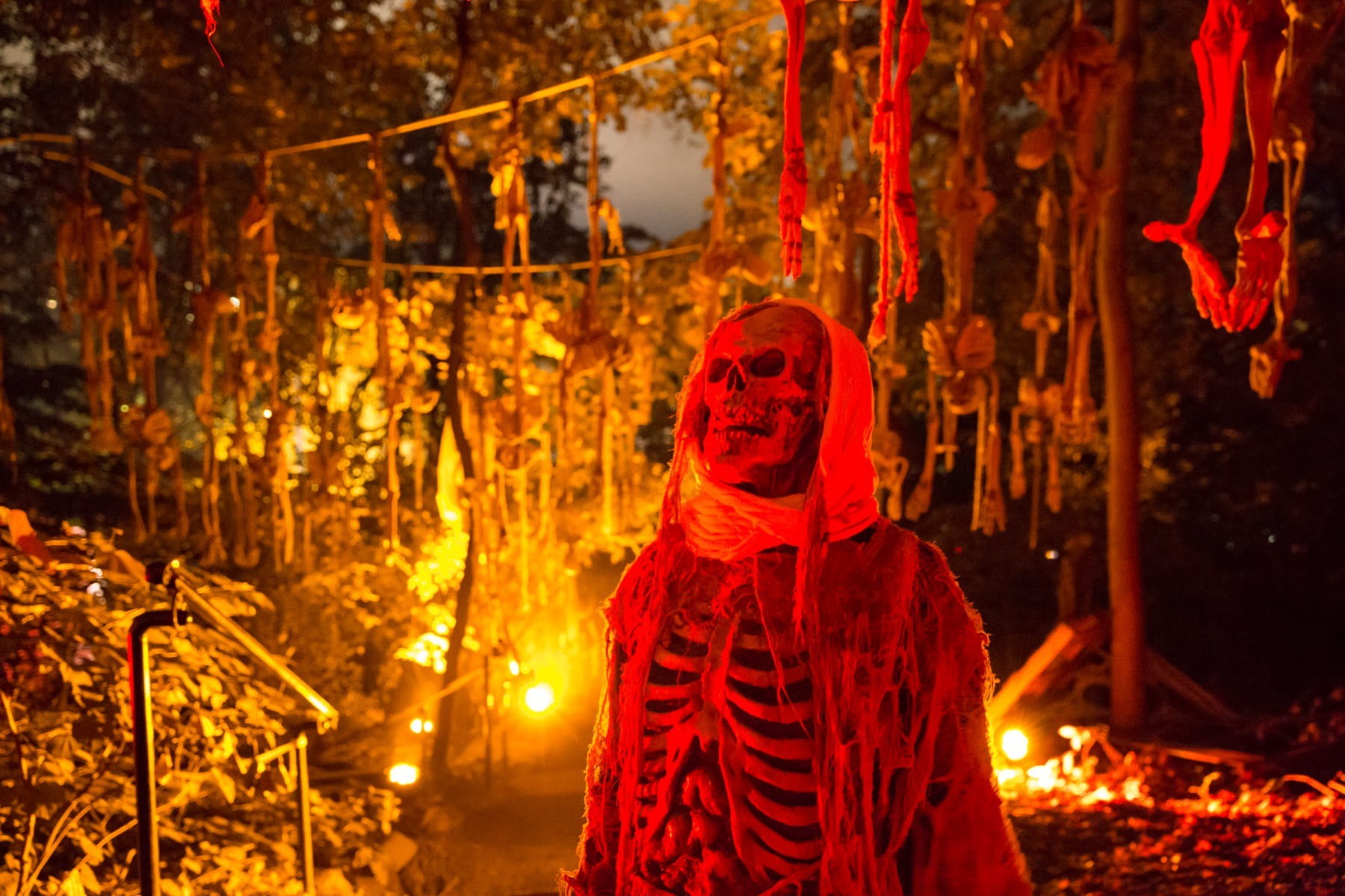 Casa Loma illuminated at night for Legends of Horror Halloween attraction