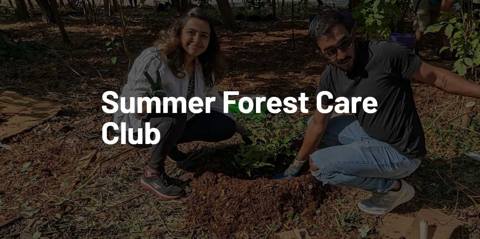 Summer Forest Care Club event