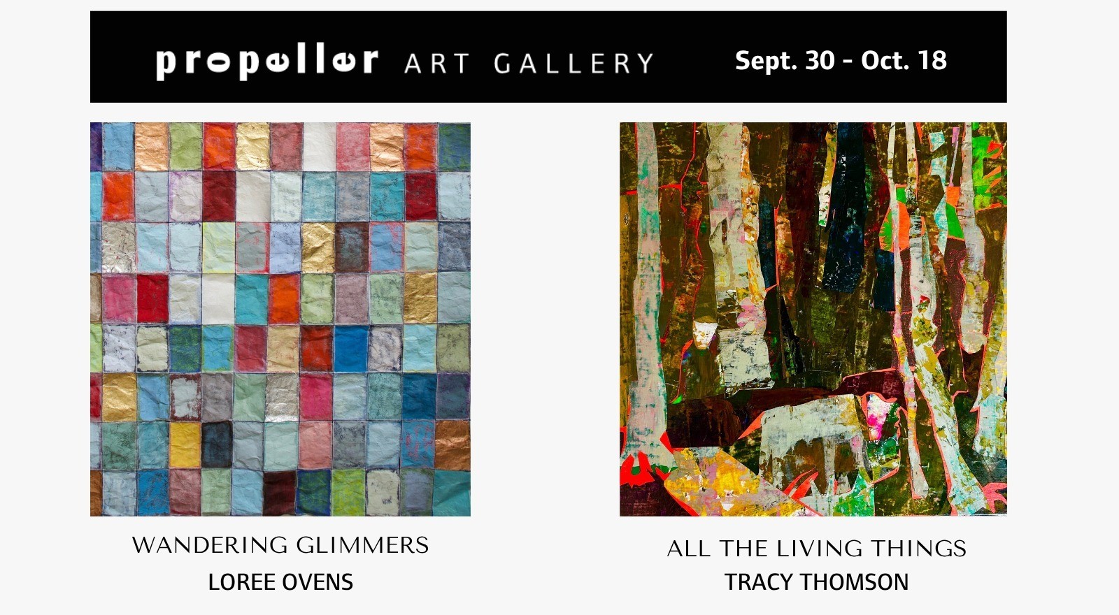 Wandering Glimmers and All the Living Things art exhibition at 30 Abell Street