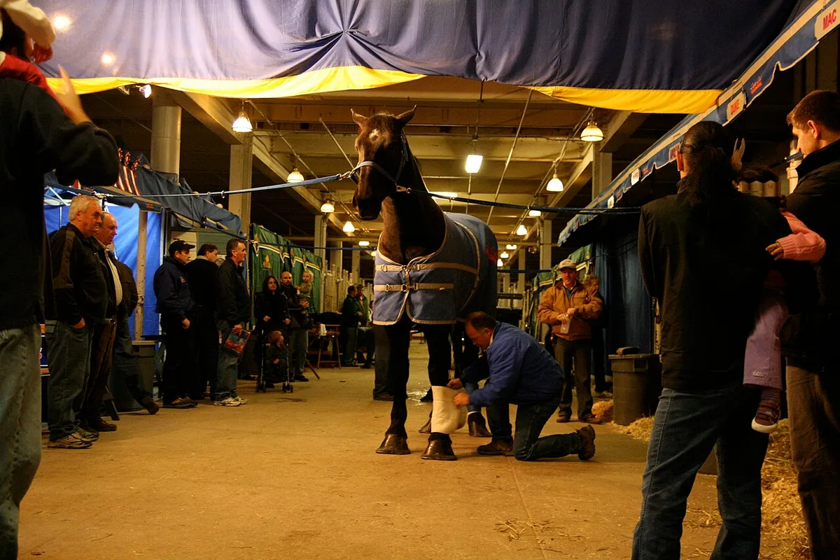 Royal Agricultural Winter Fair festival in Toronto