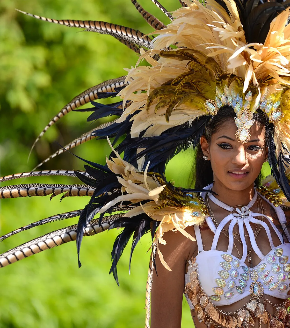 Toronto Caribbean Carnival (Caribana) festival in Toronto