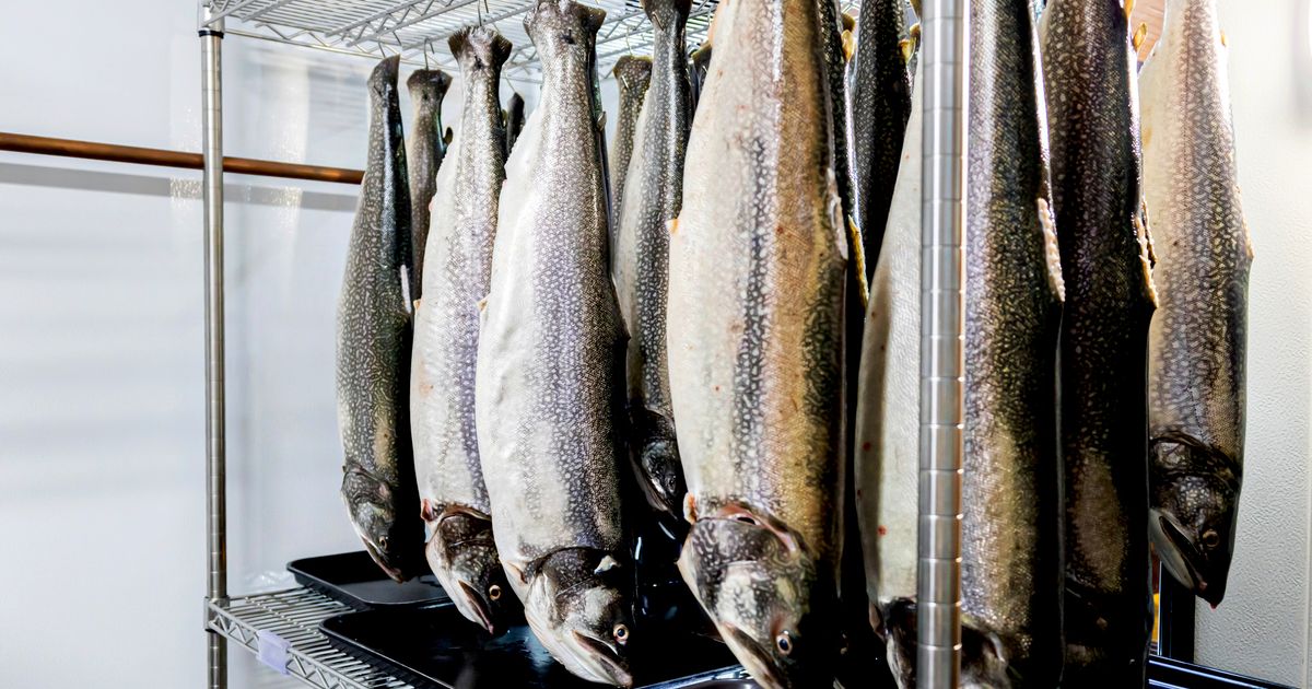 Acclaimed Brockton Village fishmonger Affinity Fish announces closure