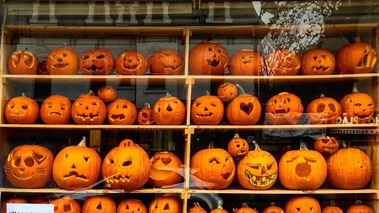 65 of the Best Things to Do in Toronto This October 2026
