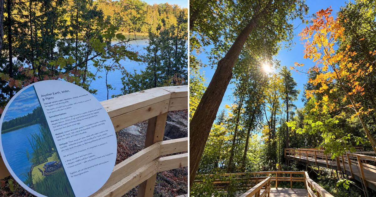 Ontario Park Just Got a Brand-New Elevated Boardwalk Trail