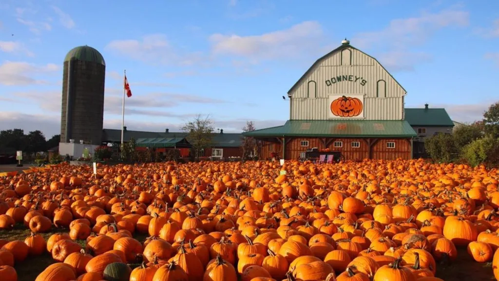 It's the First Day of Fall — Here Are 21 Ways to Make the Most of It in Toronto