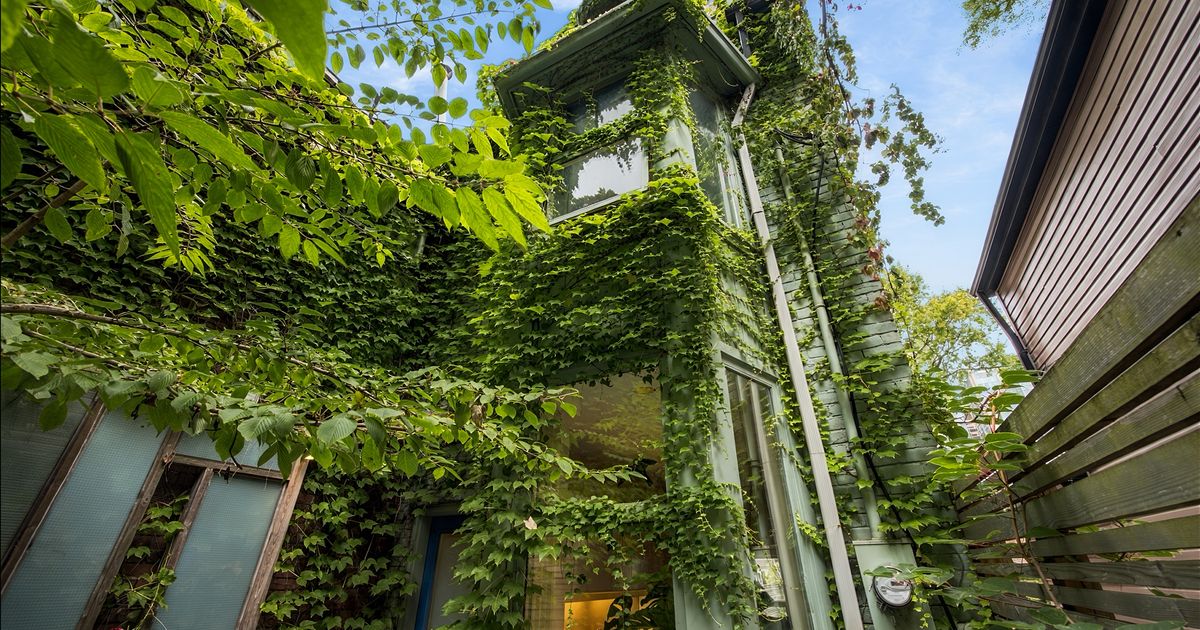 This Toronto Home Feels Like a Secret Treehouse in the Middle of Downtown