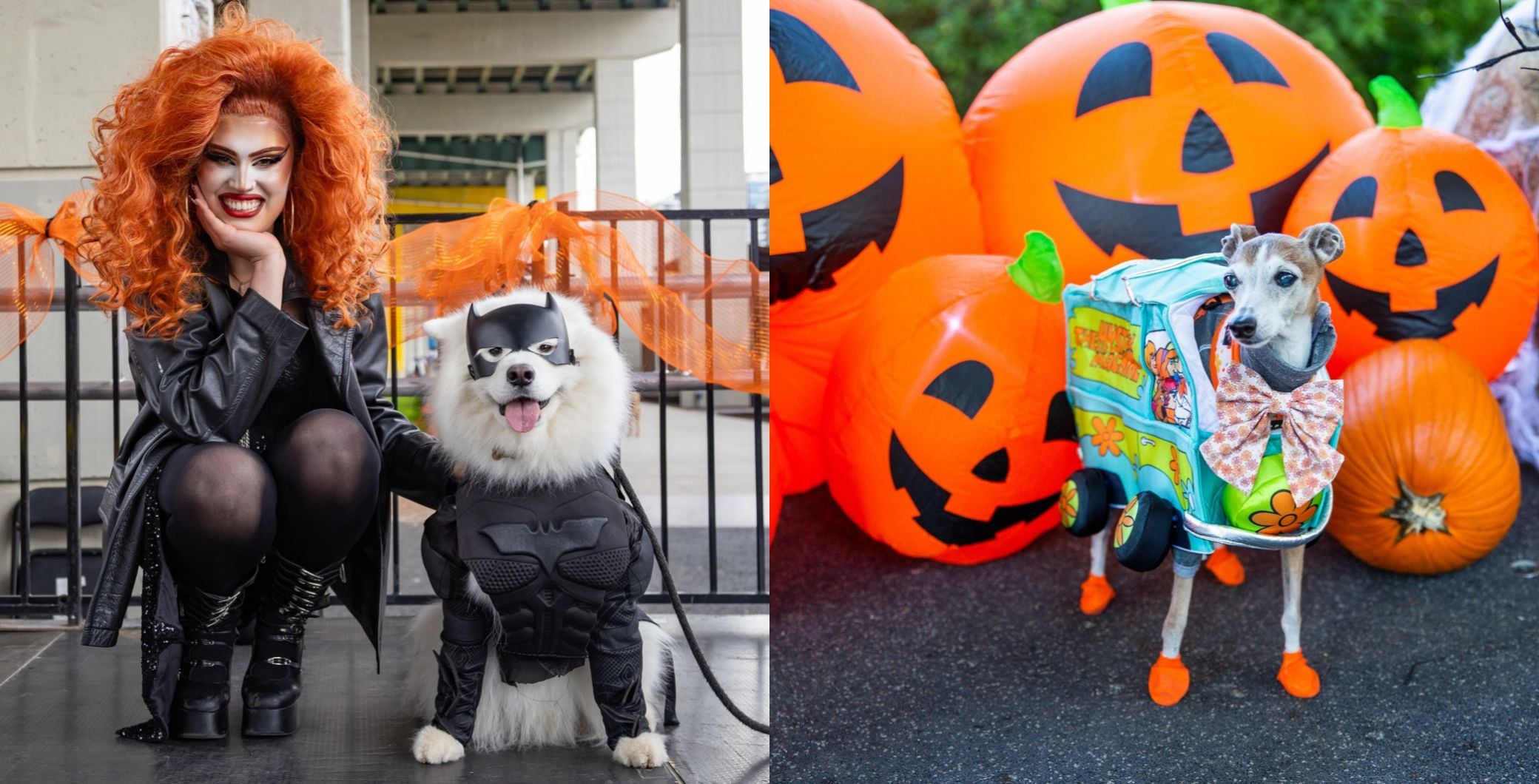 Howl'oween Returns to The Bentway With a Dog Costume Runway