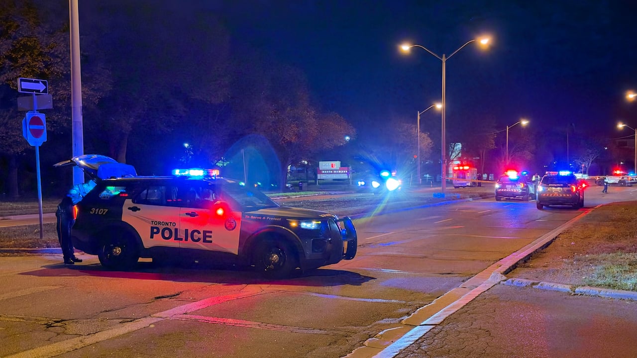 Man in 30s Dead After Being Struck by a Vehicle in North York