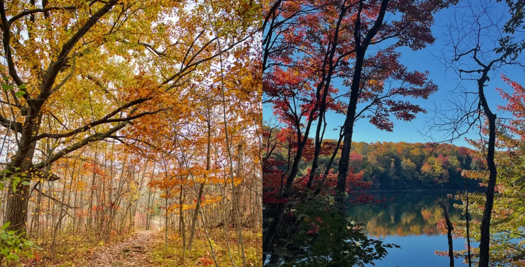 6 Ontario Parks to Visit for Stunning Fall Colours This Season