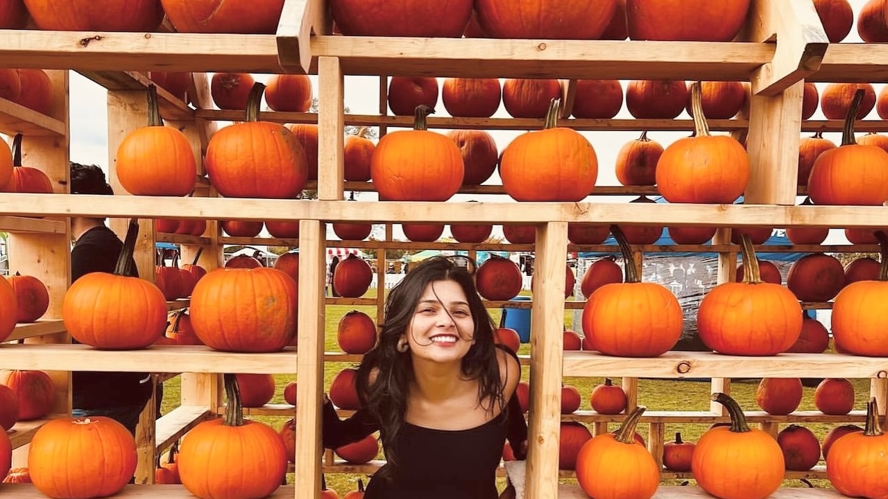 The Best Pumpkin Festivals Happening in Ontario for 2026