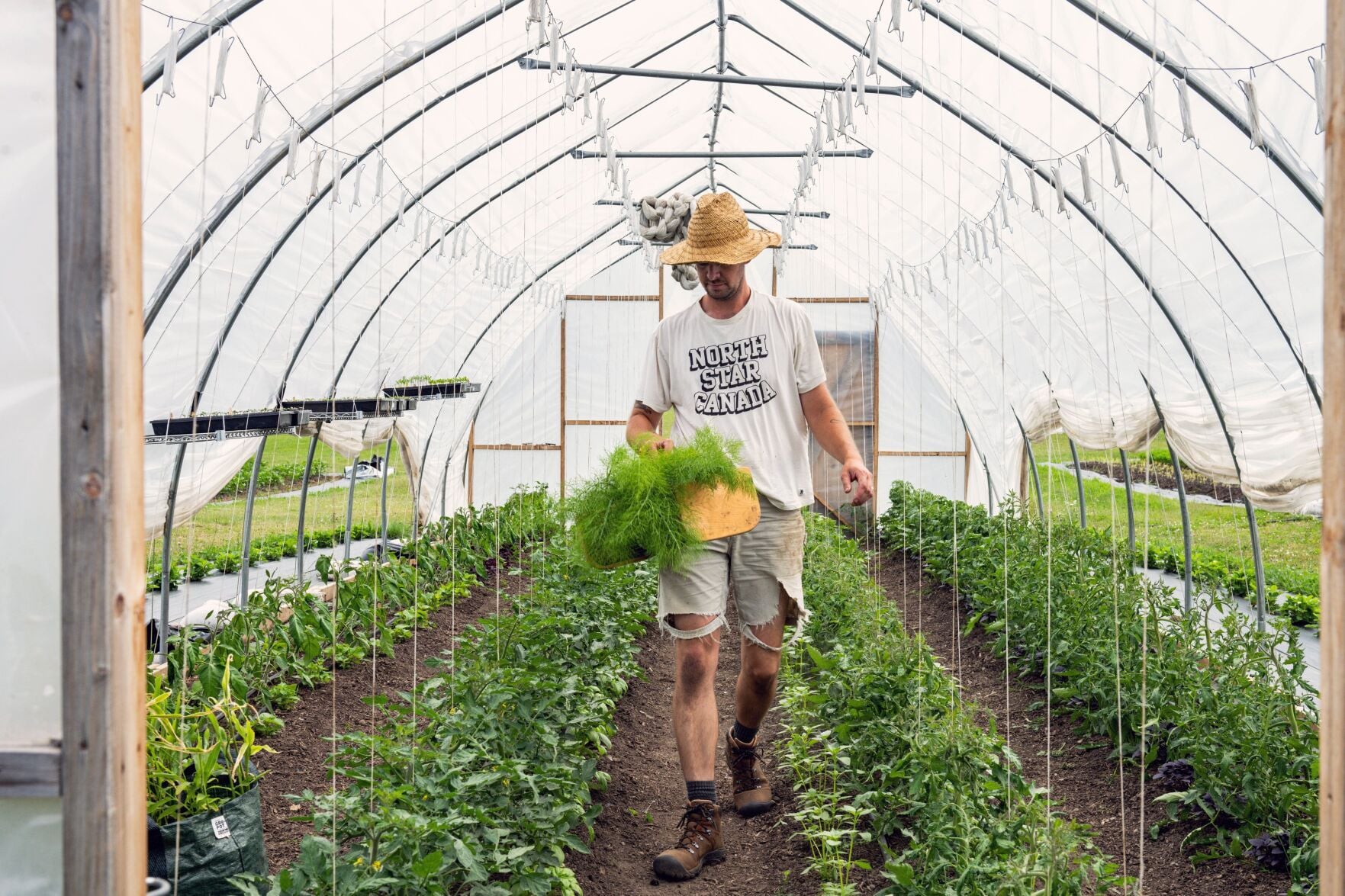 Toronto's Top Chefs Are Taking Up Farming — Bringing New Meaning to Farm-to-Table