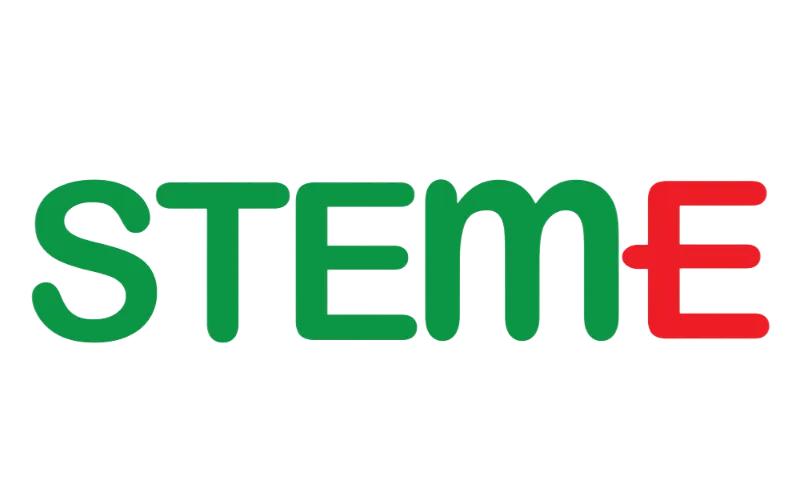 STEM-E school building