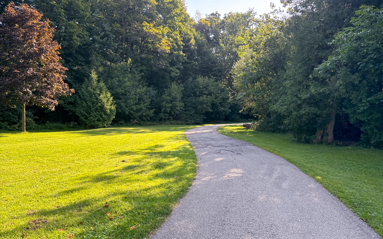 Wooded cross-country route in Thomson Memorial Park