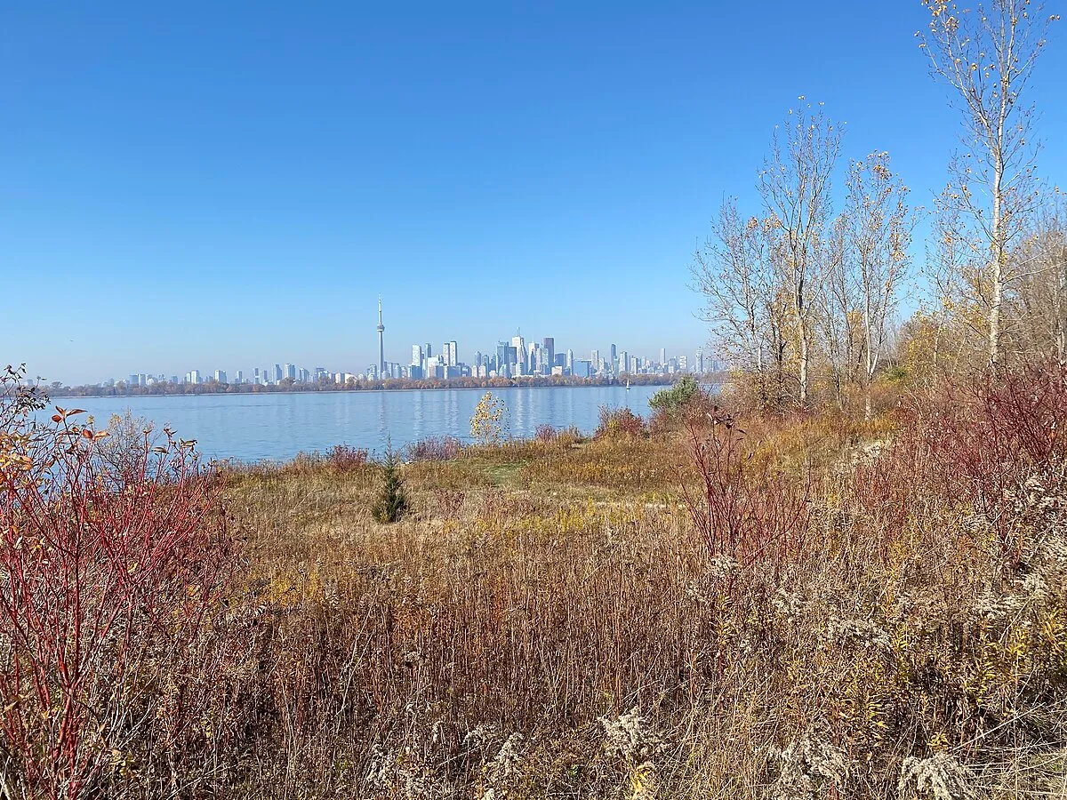 Downtown Toronto skyline from Tommy Thompson Park in autumn